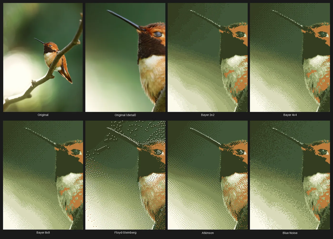 A grid comparing the Dither node's methods -- three Bayer ordered-dither matrices, Floyd-Steinberg and Atkinson error diffusion, and blue-noise thresholding -- each a magnified detail crop of the same bird photograph quantized to 8 colors, with the original and an original detail crop for reference.