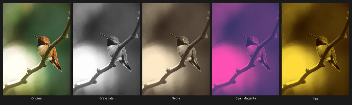 The original hummingbird photo beside it remapped to a grayscale duotone, a warm sepia duotone, a cool cyan-to-magenta duotone, and a high-contrast fire duotone driven by luminance.