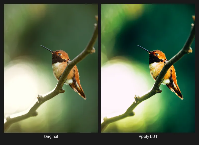 Side-by-side comparison: the original image on the left and the same image after the Apply LUT node on the right.