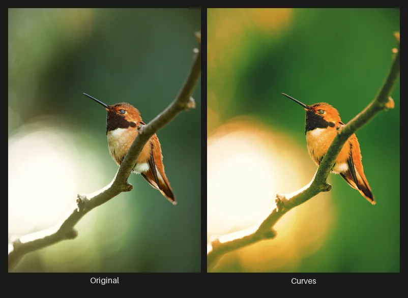 Side-by-side comparison: the original image on the left and the same image after the Curves node on the right.