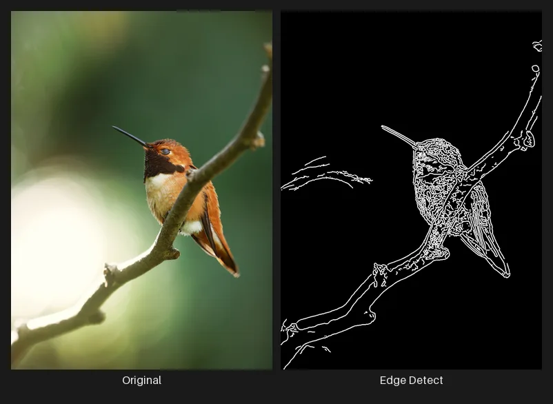 Side-by-side comparison: the original image on the left and the same image after the Edge Detect node on the right.