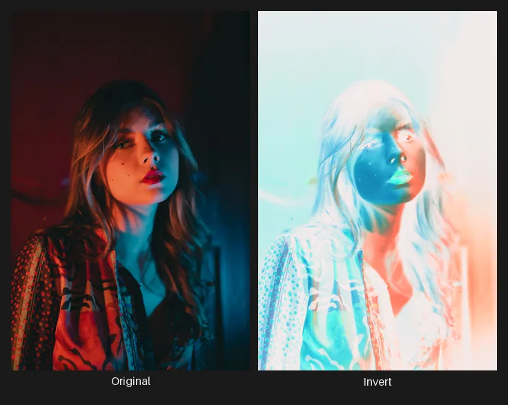 Side-by-side comparison: the original image on the left and the same image after the Invert node on the right.
