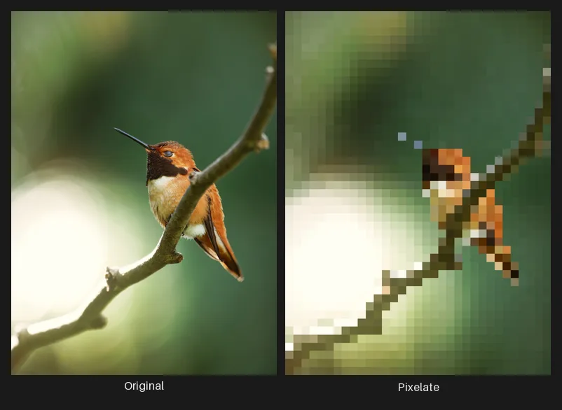 Side-by-side comparison: the original image on the left and the same image after the Pixelate node on the right.