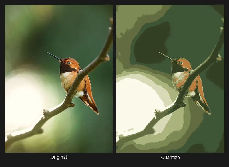Side-by-side comparison: the original image on the left and the same image after the Quantize node on the right.