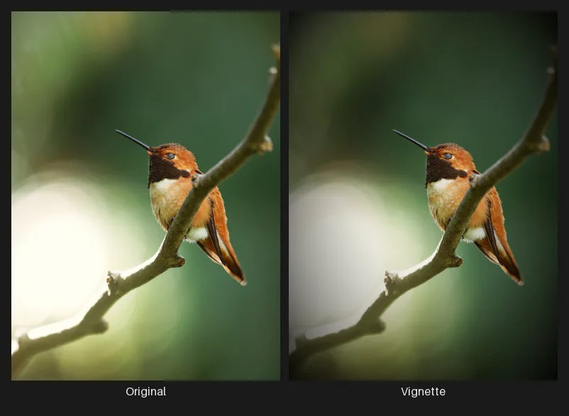 Side-by-side comparison: the original image on the left and the same image after the Vignette node on the right.